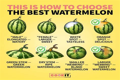 How To Pick A Watermelon Five Key Tips Cook It