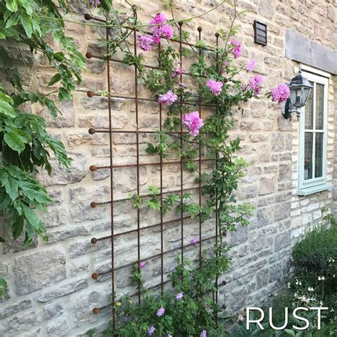 How To Create A Diy Indoor Garden Wall Trellis Wall T