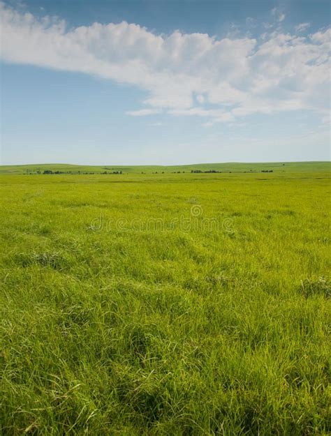 Wide Open Prairie With Lush Green Grass In Late Spring Ad Prairie