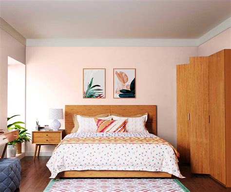 Try Rose Bud House Paint Colour Shades For Walls Asian