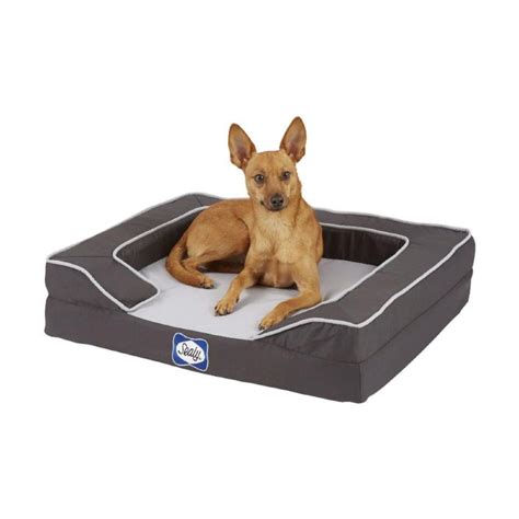 Sealy Lux Premium Orthopaedic Dog Bed Buy Sealy Dog Beds Online