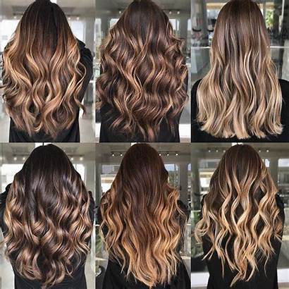 Balayage Blonde Ombre Brown Tyrrell Sue Highlights