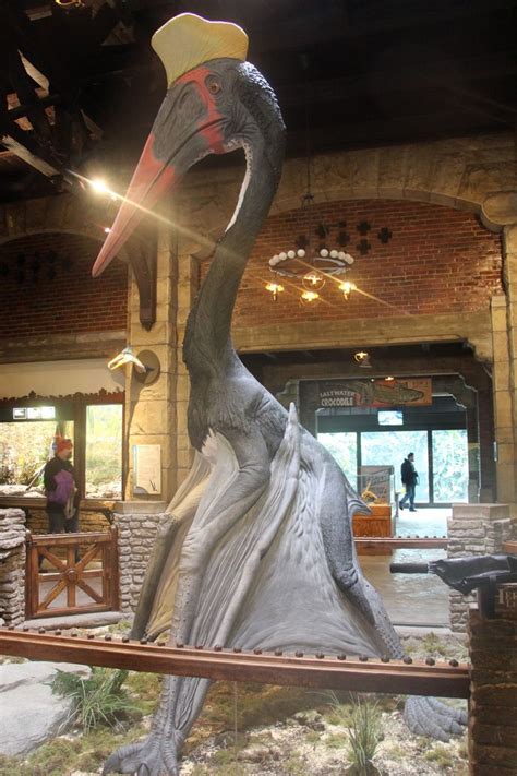 Here are all the possible pronunciations of the word quetzalcoatlus. Quetzalcoatlus - Facts and Pictures