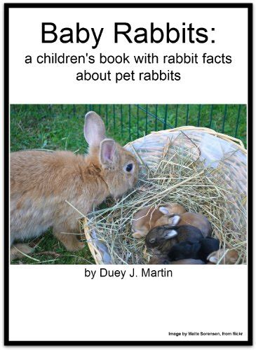 Baby Rabbits A Childrens Book With Rabbit Facts About Pet Rabbits