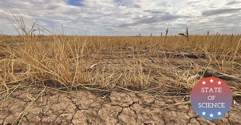 Drought In Western Kansas Exacerbates Global Wheat Shortage