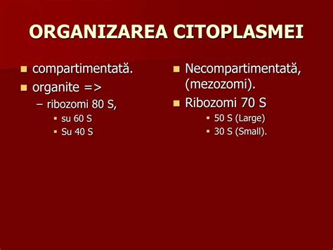 Ppt Introducere In Microbiologie Powerpoint Presentation Free
