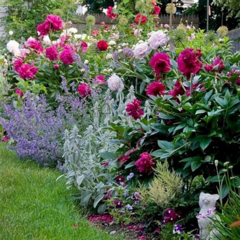47 Amazing Rose Garden Ideas On This Year