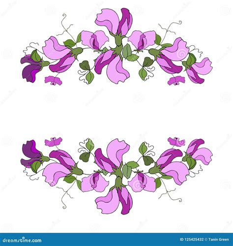 Hand Drawn Vector Frame Floral Wreath With Leaves Sweet Pea Stock