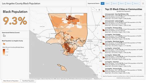 State of Black Los Angeles County Report – Los Angeles County