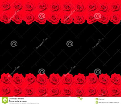 Banner Of Red Roses Stock Image Image Of Banner Buds 37910139
