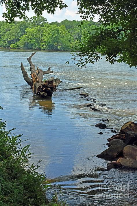 Catawba River Photograph By Lydia Holly Pixels