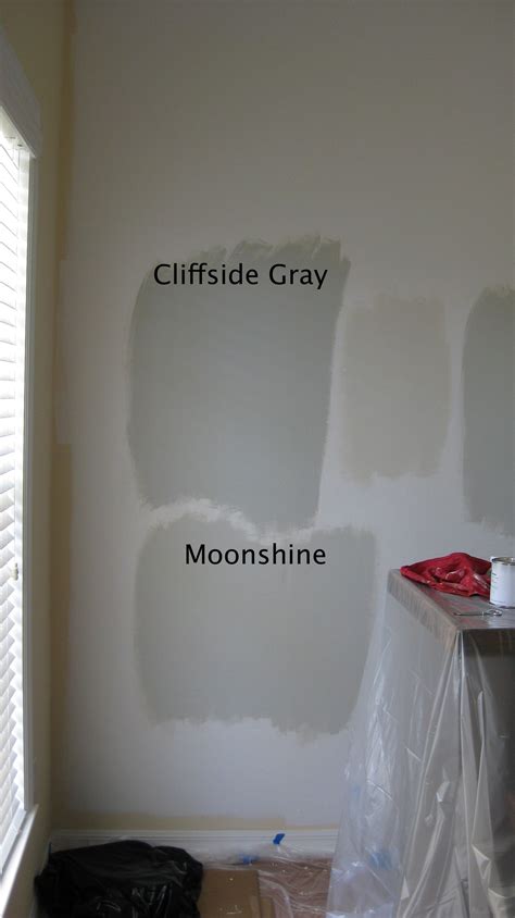 Affordable and creative ideas that suit you read more: Advertisements | Moonshine benjamin moore, Paint colors ...