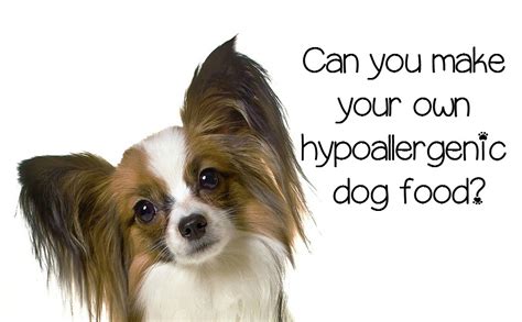 Each dog is different so each brand may yield different results. Hypoallergenic Dog Food - Can it be Made at Home?