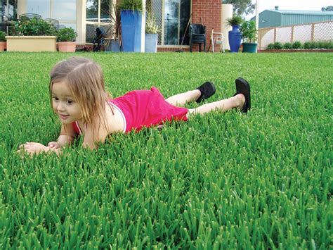 Choosing The Best Grass For Kids And Pets Myhometurf