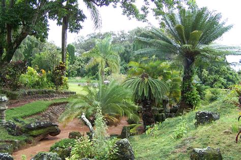 Free photo: Hawaiian Garden - Garden, Grass, Hawaii - Free Download ...