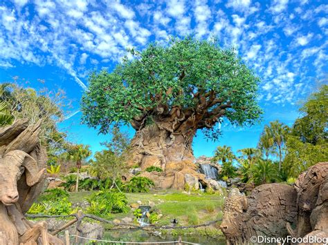 Visiting Animal Kingdom In April New Snacks Characters And More Are