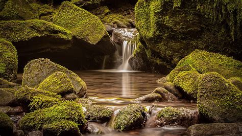 1080p Free Download Landscape View Of Waterfall Between Algae Covered