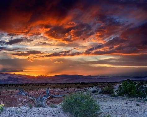 Sunset Desert Area Sand Bushes Landscape Wallpaper Hd 3840x2400