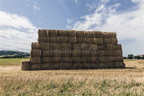 Hay Bales Pile Stock Image Image Of Summer Sunlight 75488121