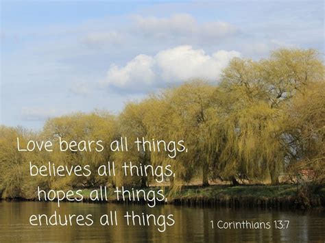 Love bears all things, believes all things, hopes all things, endures all things - David Maby