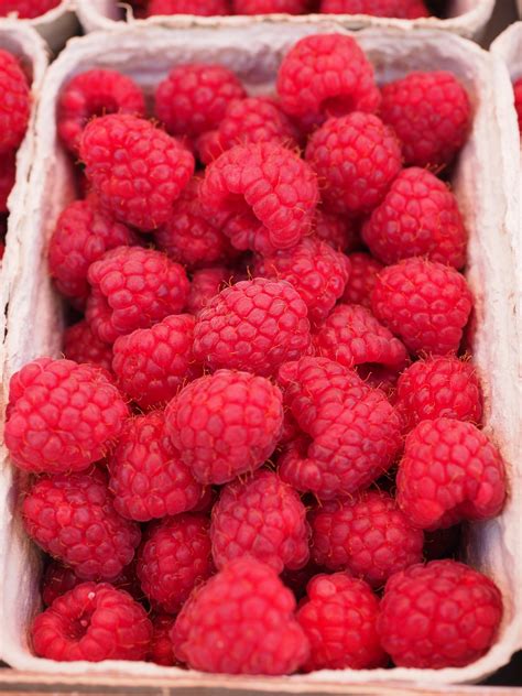 Free Images Raspberry Fruit Berry Sweet Food Red Produce