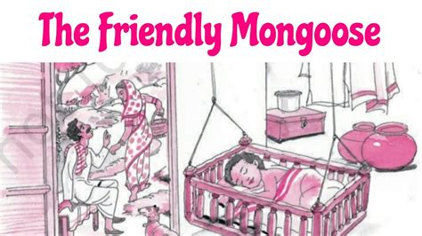 The Friendly Mongoose Explanation English For Class Th Ncert