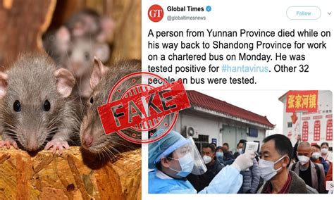 Hantavirus' is a family of viruses that spread by rodents. Fact Check: Hantavirus In China, Next Outbreak On Door?