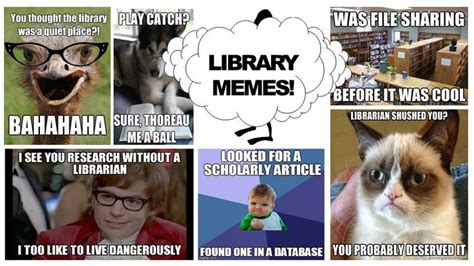 Library Memes More Meme Fun Is Located On Our Library Meme Board