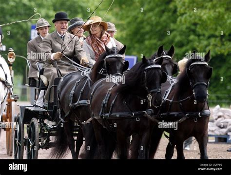 Equestrian Carriage Driving Royal Windsor Horse Show Stock Photo