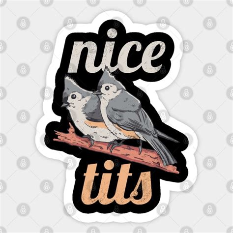 Nice Tits Funny Tufted Titmouse Bird Watching T Tufted Titmouse Sticker Teepublic