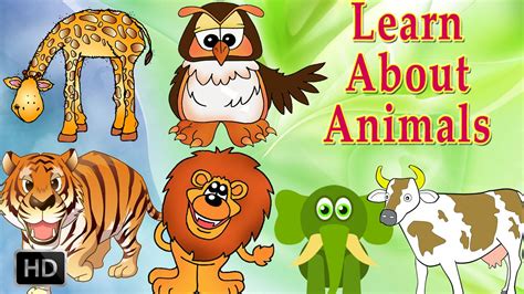 Learn About Animals Animal Sounds Learning Animals For Toddlers