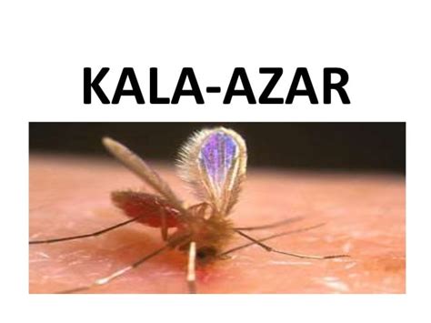 India Nears Kala Azar Elimination Target In Gktoday