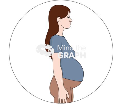 Pregnancy Pregnant Woman