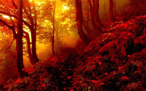 Landscape Photography Of Red Mountain Forest Hd Wallpaper Wallpaper Flare