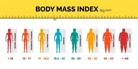 Bmi Classification Chart Measurement Woman Colorful Infographic With The Best Porn Website