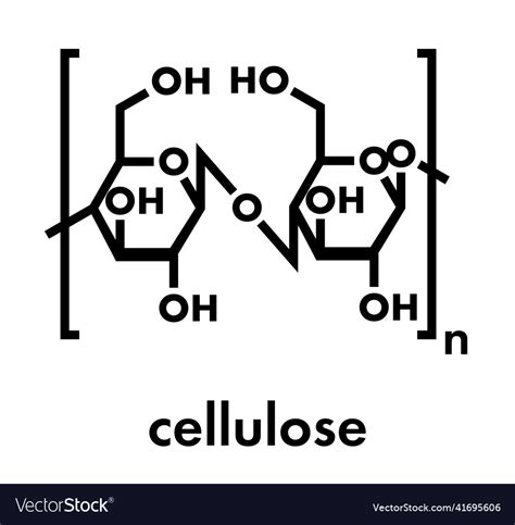 Cellulose Chemical Structure Main Component Vector Image
