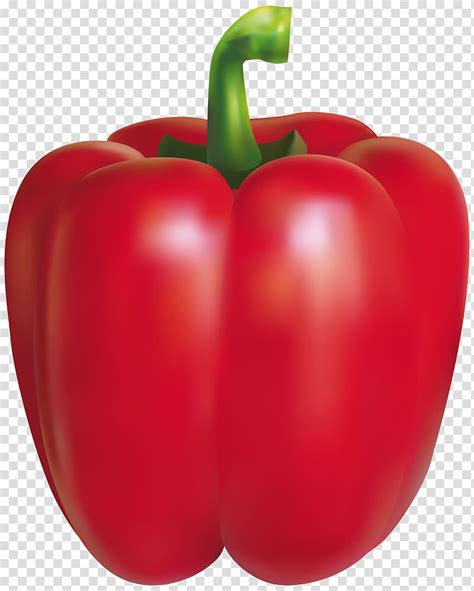 Red Bell Pepper Illustration Chili Pepper Bell Pepper Peppers Red