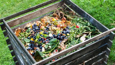 A Guide To Composting Green Buckeyes