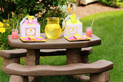 lemonade stand birthday party ideas photo 3 of 14 catch my party