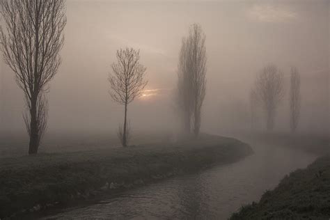 Sun Is Coming Behind The Fog Photograph By Alberto Martinenghi Pixels