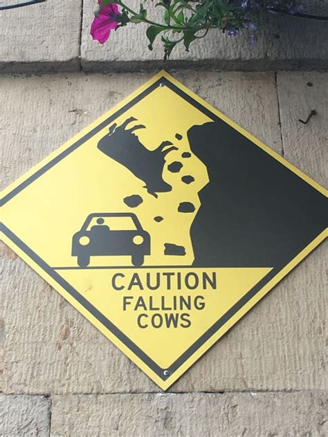 Funny Road Signs Travelers Have Seen From All Over The World