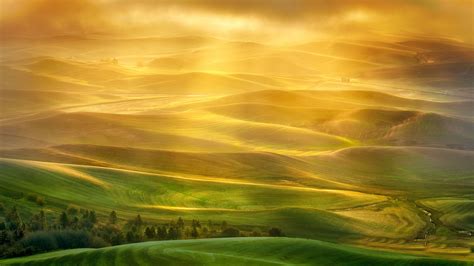 Green Mountain And Trees Landscape Hills Hd Wallpaper Wallpaper Flare