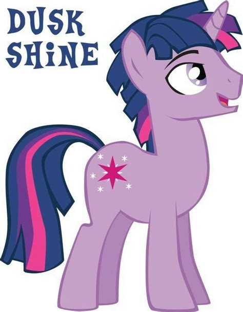 Male Twilight Sparkle Dusk Shine My Little Pony Cartoon My Little