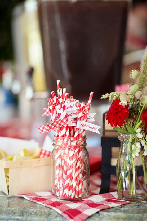 The barnyard cow blankie is a soft cow blanket in a realistic cow print with striped accents. Party Reveal: Sweet Backyard Barn Birthday Bash