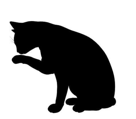 Black Cat Png Clip Art Library