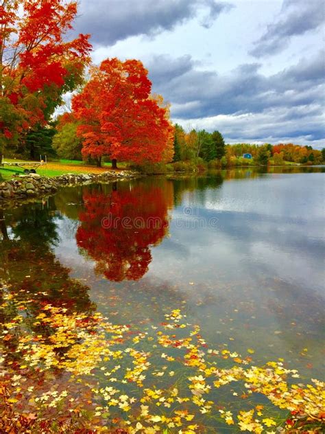 Fall Landscape On Big Indian Pond In Central Maine Stock Photo Image
