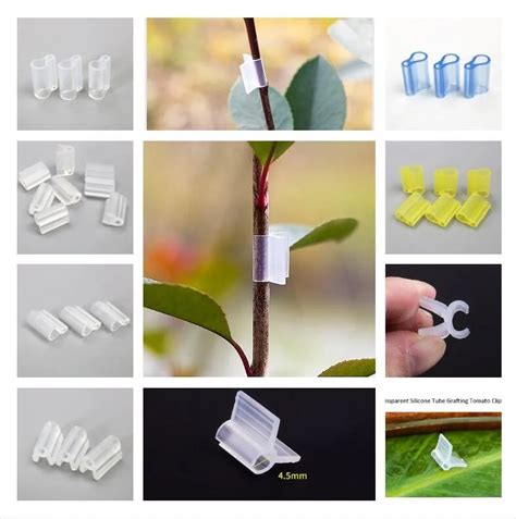 Garden Tools Silicone Tube For Tomato Grafting Buy Silicone Grafting