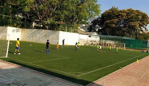best cricket academies in south bangalore you should know about whatshot bangalore