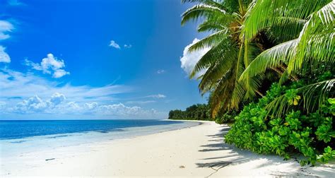 Tropical Beach Summer Time Ocean Sky Clouds Sea Beach Sand