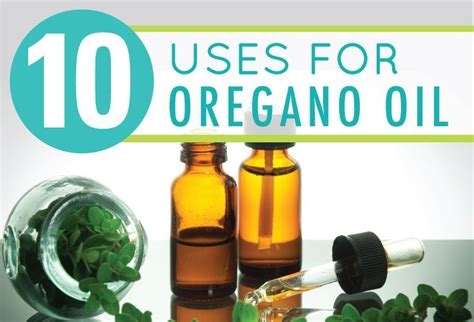 15 Oregano Oil Uses And Benefits With Images Oregano